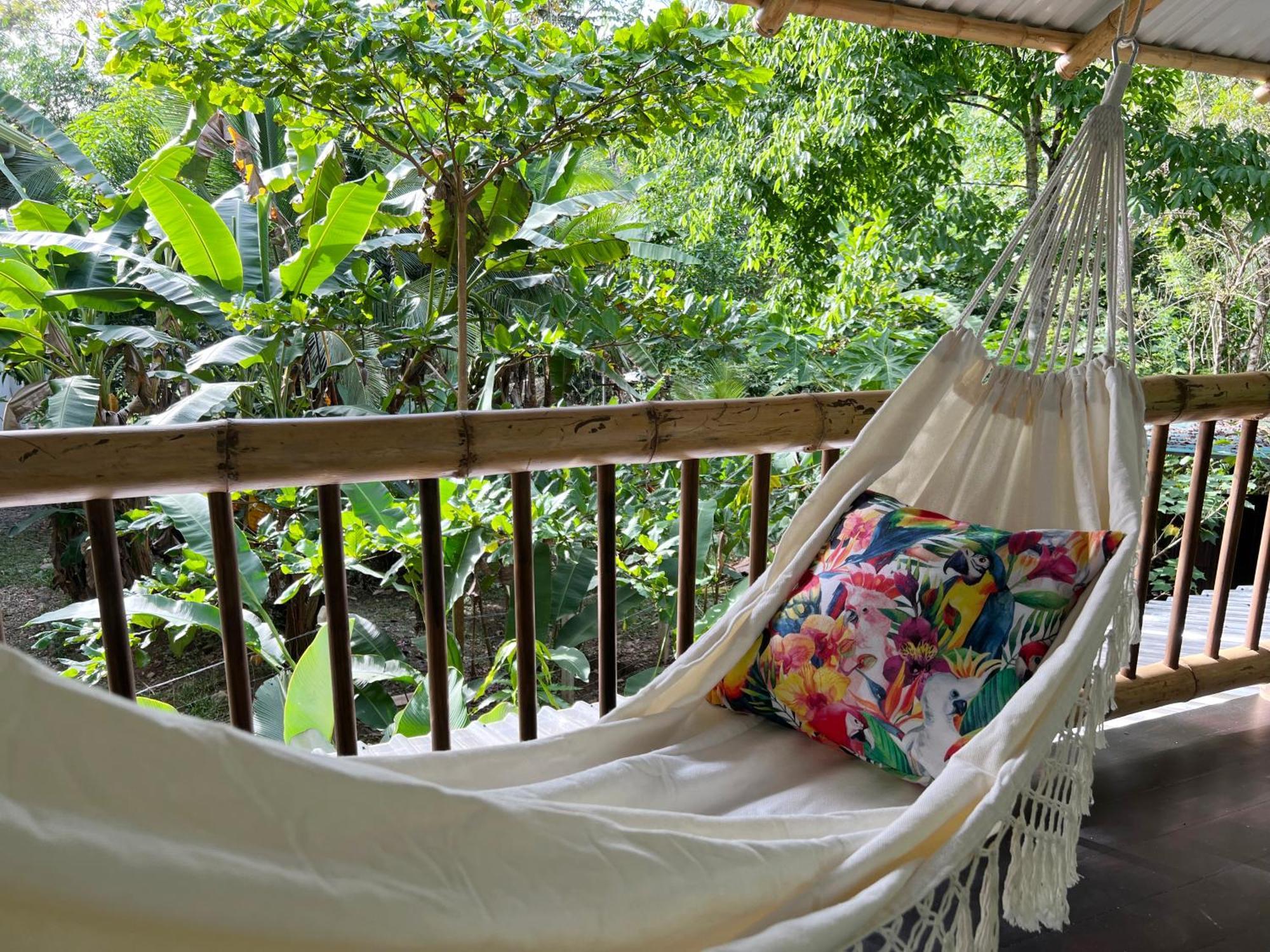 Templo Del Tigre Hotel Dos Brazos ภายนอก รูปภาพ